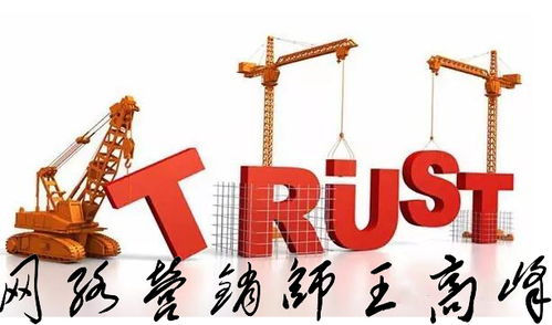 王高峰師自述 網絡文化經營之路，四川網絡營銷師的挑戰與突圍